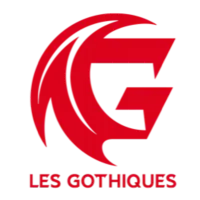 Logo AMIENS HOCKEY ELITE - LES GOTHIQUES
