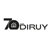 Logo DIRUY
