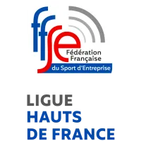 Logo FEDERATION FRANCAISE DU SPORT EN ENTREPRISE
