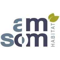Logo AMSOM